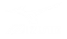 Mizuno