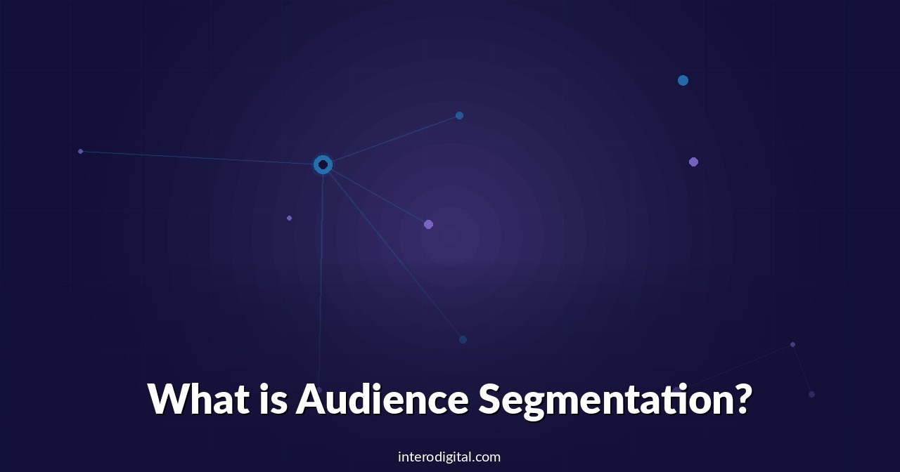 What is Audience Segmentation?